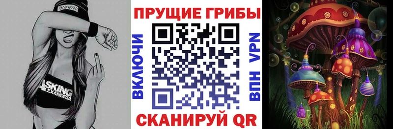 Купить  Нарьян-Мар  Псилоцибиновые грибы Psilocybe 
